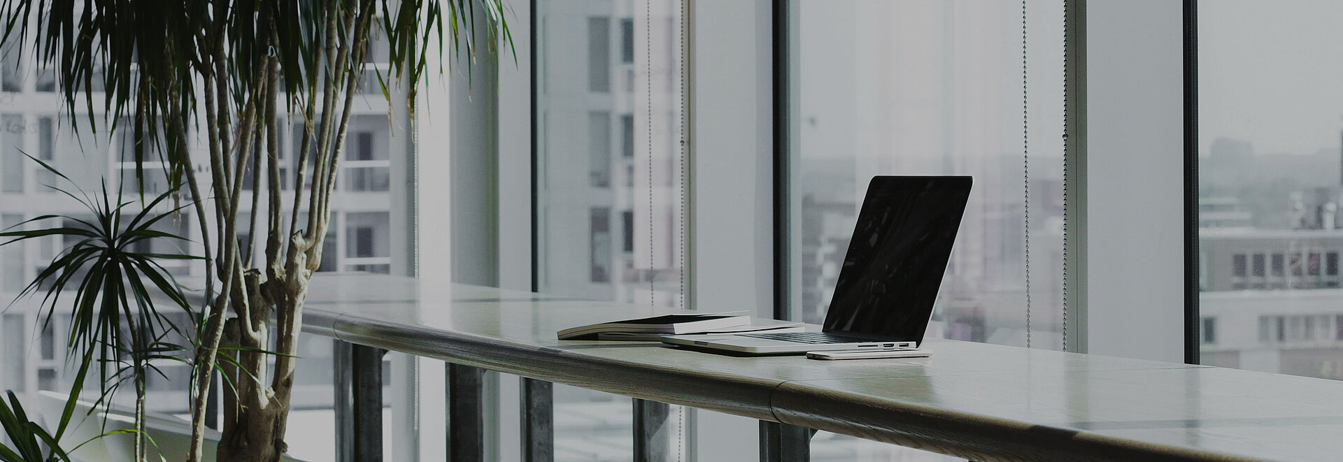 Ein heller Büroraum, in der Mitte ein Schreibtisch mit Laptop